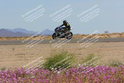 media/Mar-12-2023-SoCal Trackdays (Sun) [[d4c8249724]]/Turn 15 Inside Bloom (130pm)/